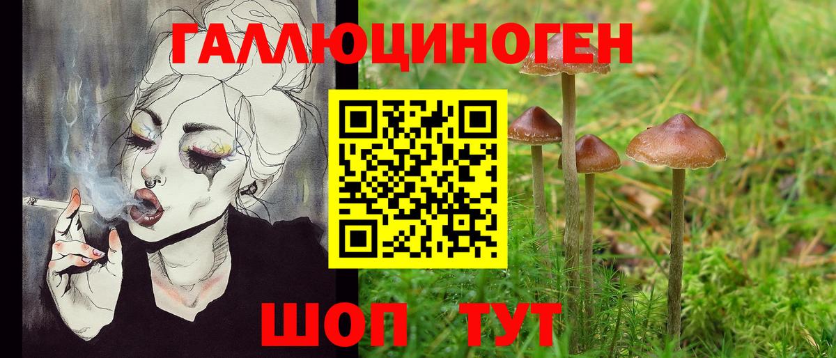 Галлюциногенные грибы Psilocybine cubensis  Вход с VPN  Солнечногорск 